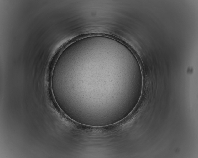 X0000089950979200707131512
