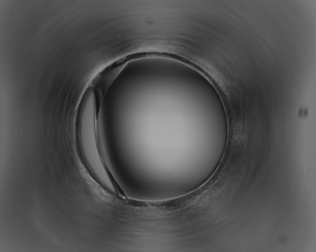 X0000089950980200707131512