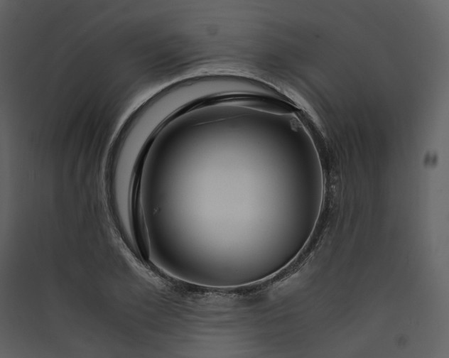 X0000089950981200707131512