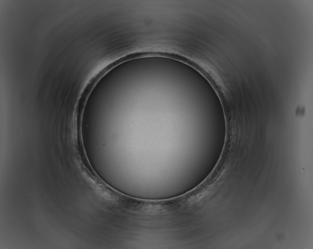 X0000089950982200707131512