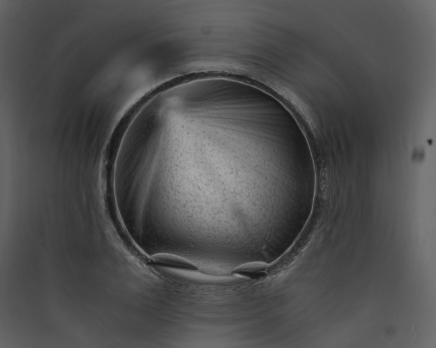 X0000089950983200707131512
