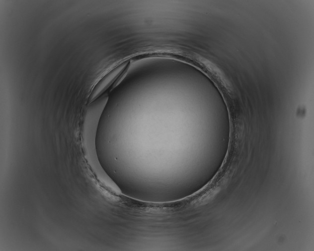 X0000089950985200707131512