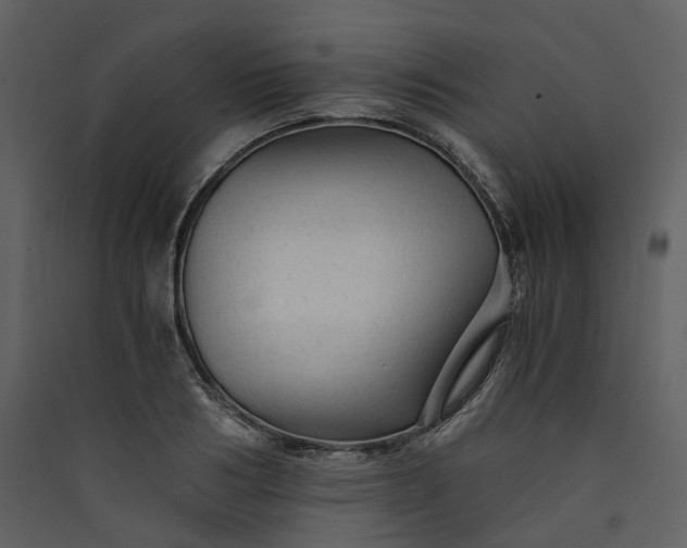 X0000089950986200707131512
