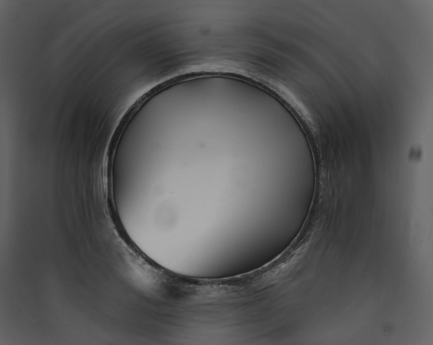 X0000089950988200707131512