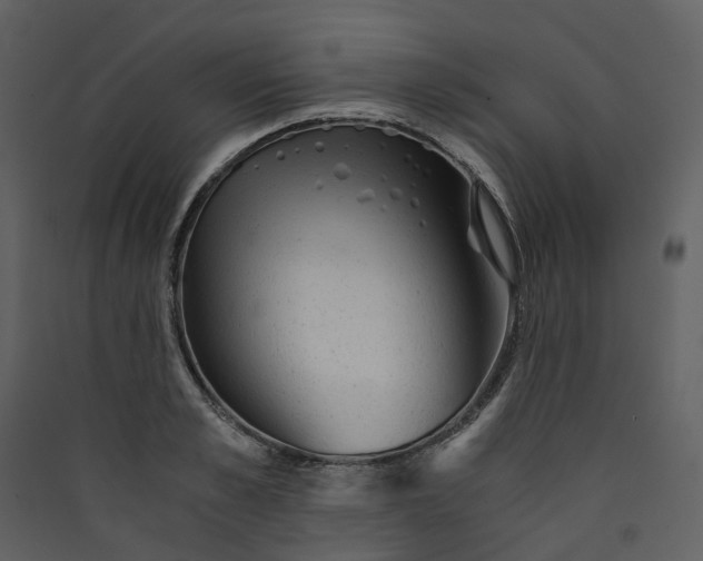 X0000089950989200707131512