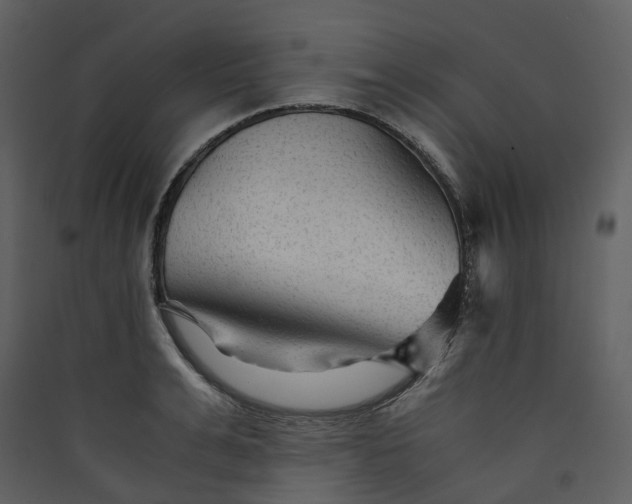 X0000089950991200707131512