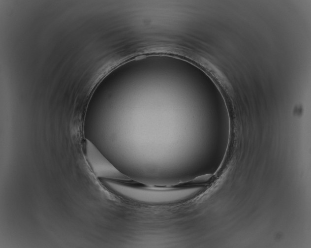 X0000089950993200707131512