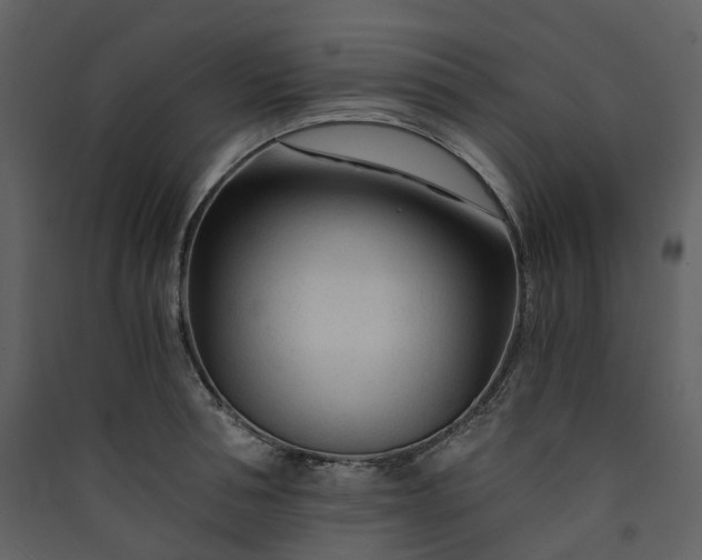 X0000089950994200707131512