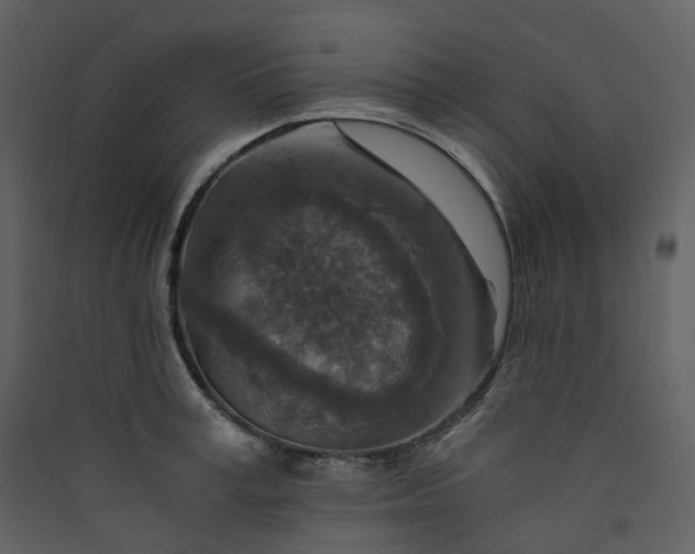 X0000089950995200707131512