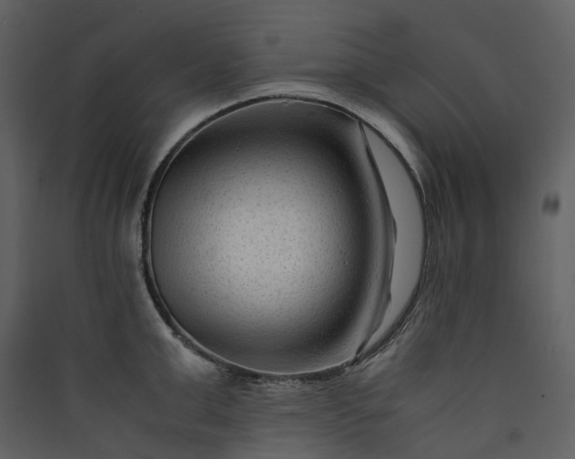X0000089950999200707131512