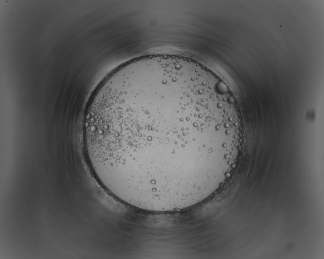 X0000089951000200707131512