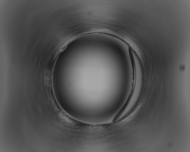 X0000089951001200707131512