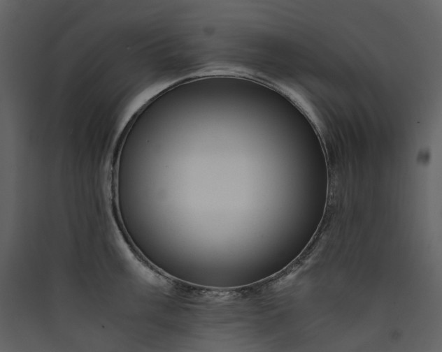 X0000089951003200707131512