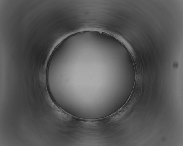X0000089951004200707131512