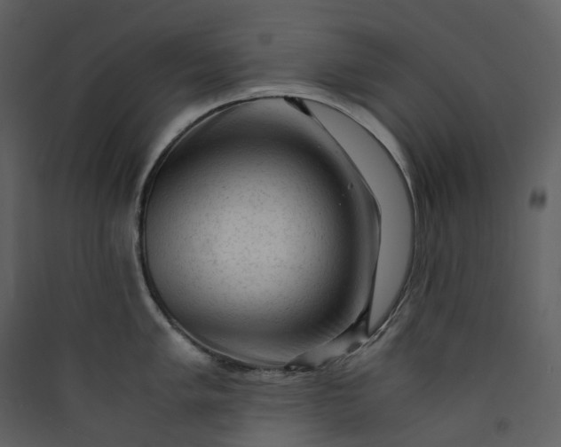 X0000089951005200707131512