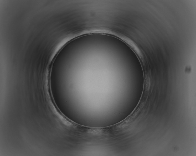 X0000089951006200707131512