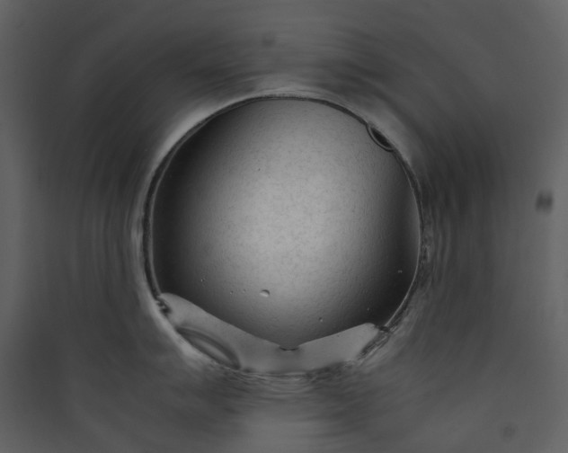 X0000089951007200707131512