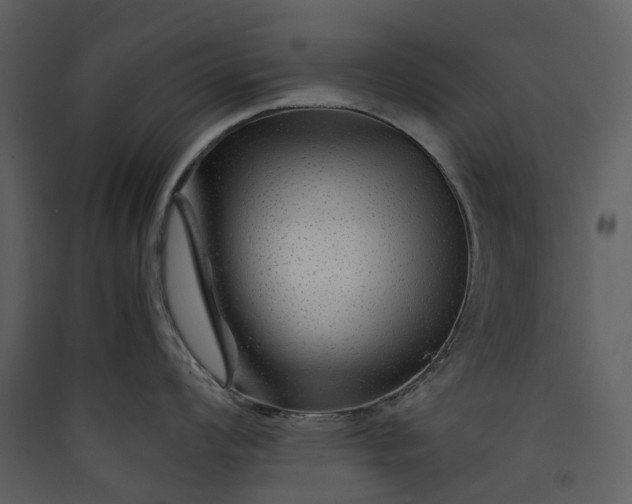 X0000089951008200707131512