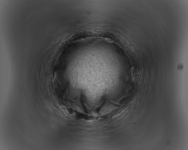 X0000089951009200707131511