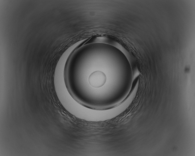 X0000089951010200707131511