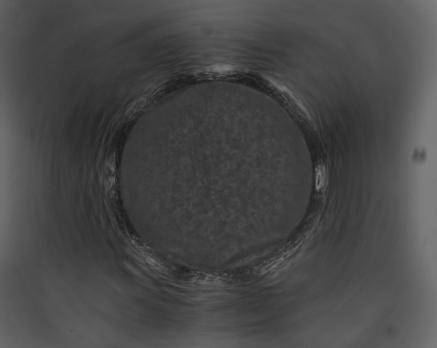 X0000089951011200707131511