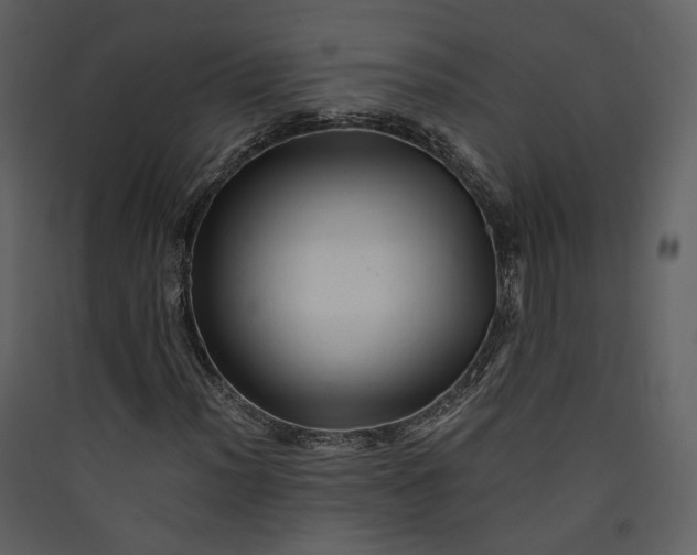 X0000089951012200707131511