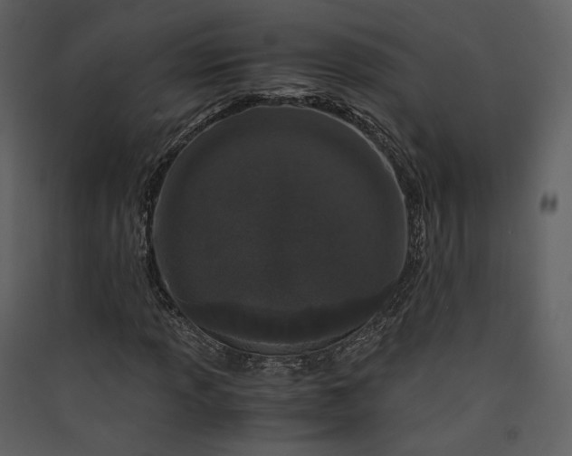 X0000089951013200707131511
