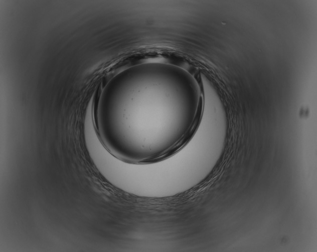 X0000089951014200707131511