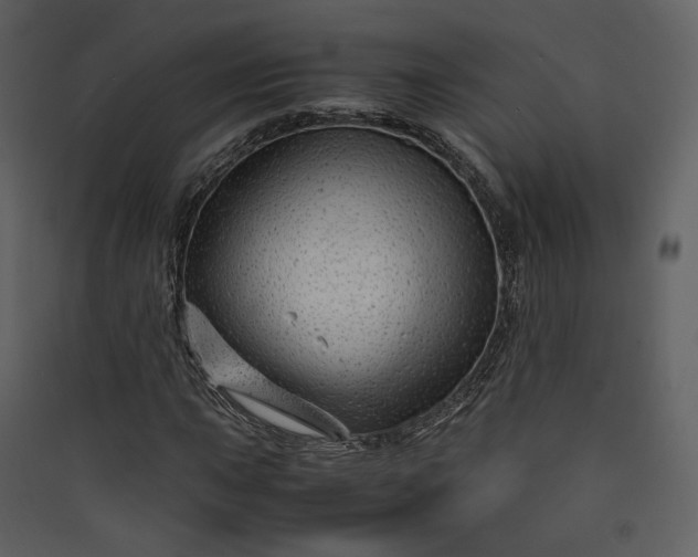 X0000089951015200707131511