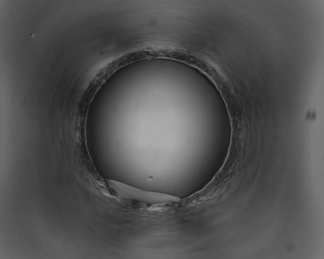 X0000089951016200707131511