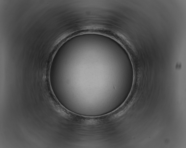 X0000089951017200707131511