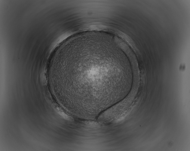 X0000089951018200707131511