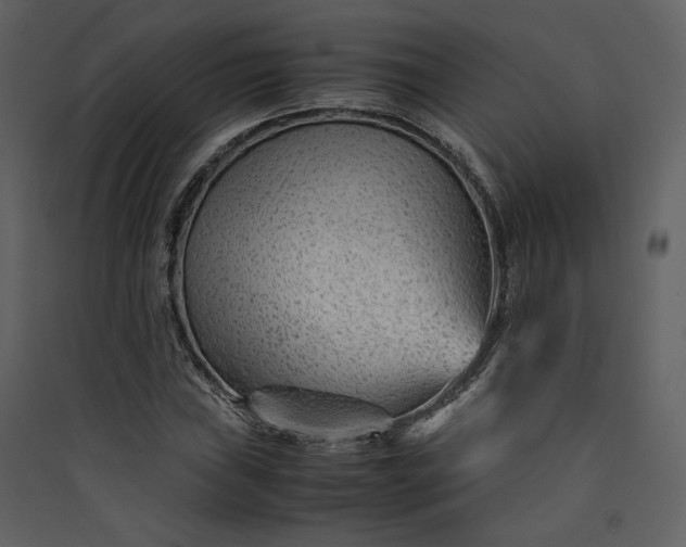 X0000089951019200707131511