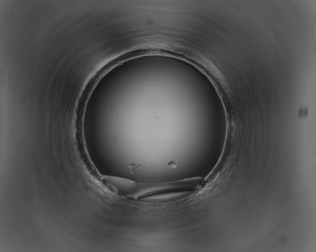 X0000089951020200707131511