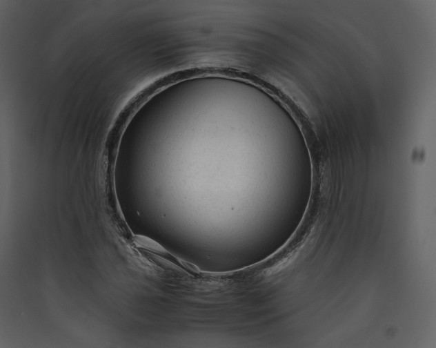 X0000089951021200707131511