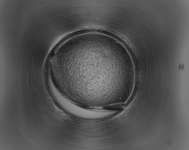 X0000089951022200707131511