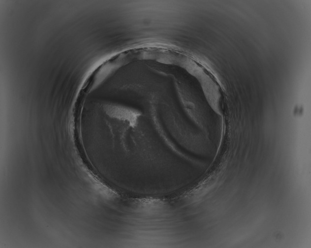 X0000089951024200707131511