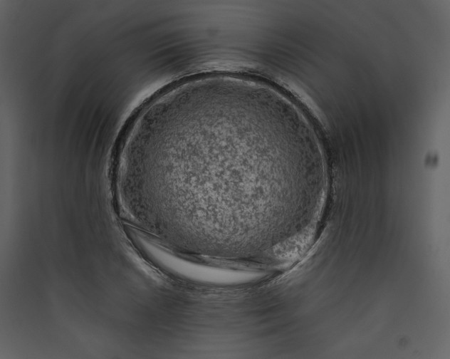 X0000089951026200707131511