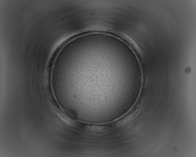 X0000089951027200707131511