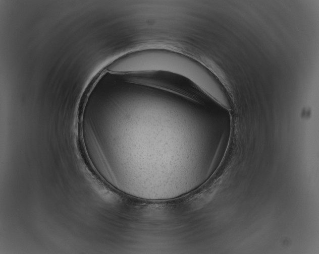 X0000089951028200707131511