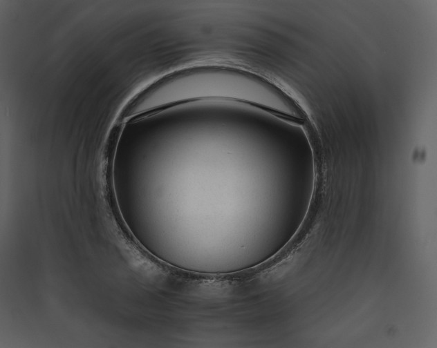 X0000089951029200707131511