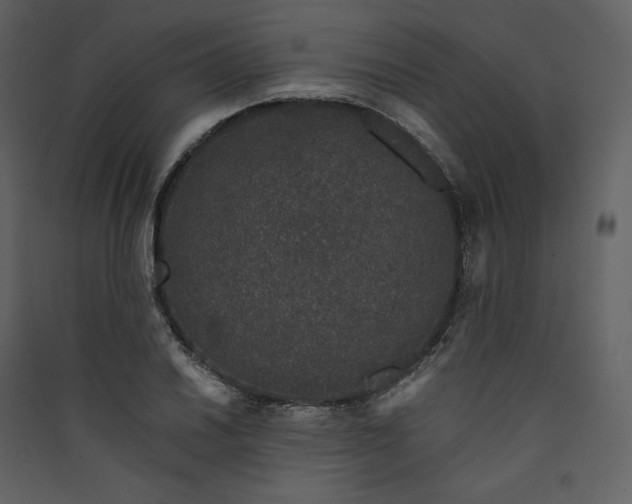 X0000089951030200707131511