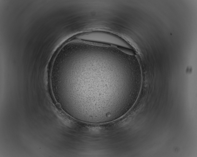 X0000089951031200707131511