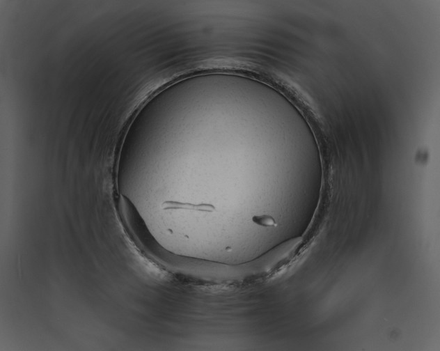 X0000089951033200707131511