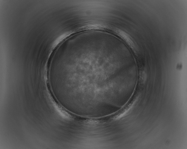 X0000089951034200707131511