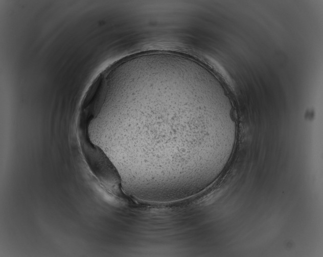 X0000089951035200707131511