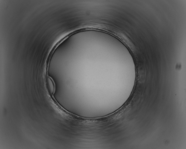 X0000089951036200707131511