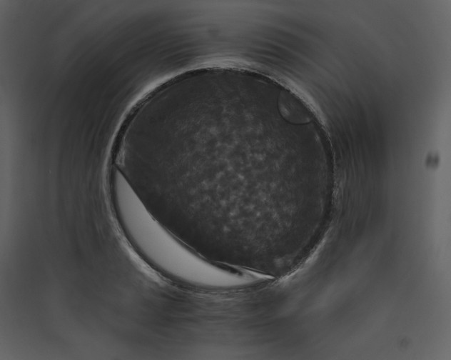 X0000089951037200707131511