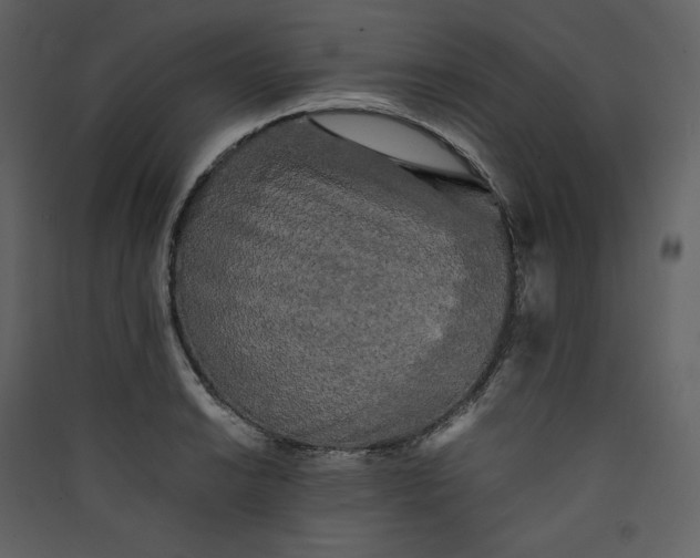X0000089951038200707131511