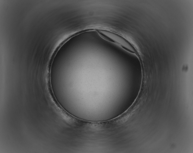 X0000089951040200707131511